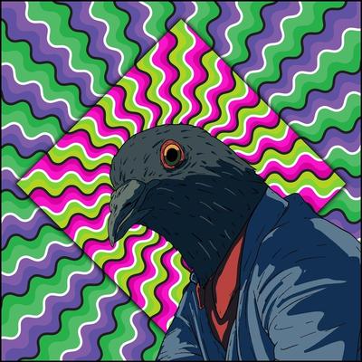 Pigeon Superstition By Bird Problems's cover