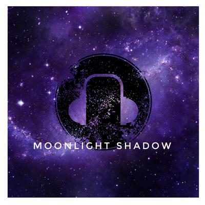 Moonlight Shadow By Viel Library, LO-FI Beats's cover