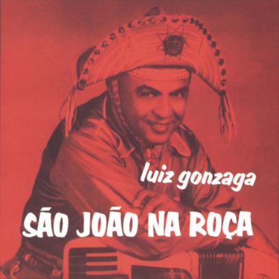 Noites Brasileiras By Luiz Gonzaga's cover