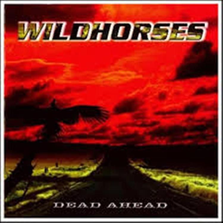 Wild Horses's avatar image