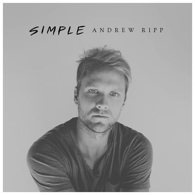 When You Fall in Love By Andrew Ripp's cover