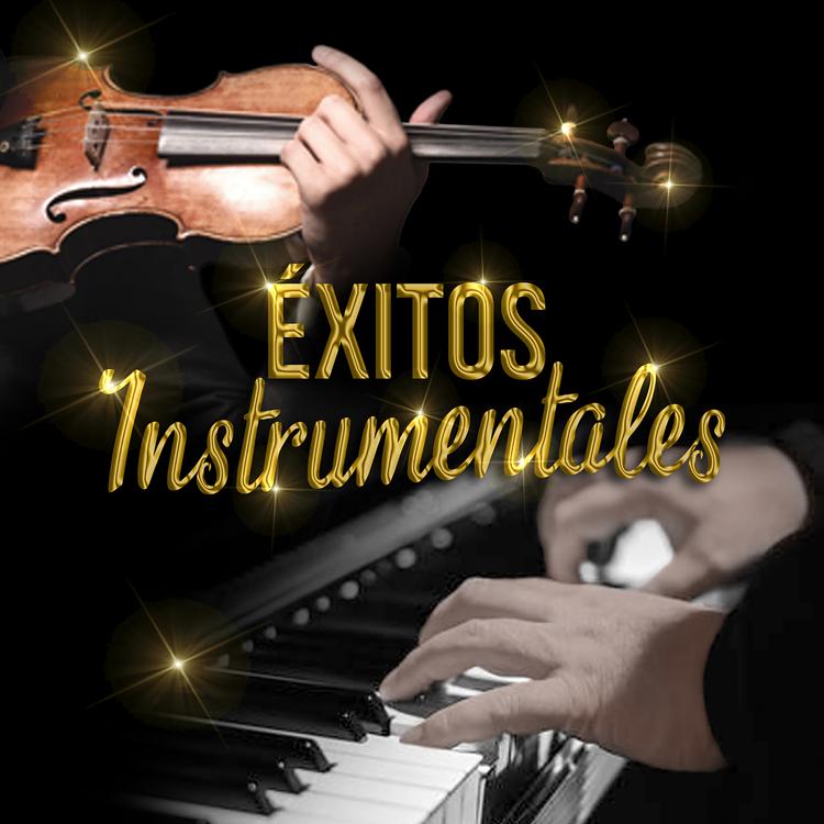 Orquesta de Mateo Tovar's avatar image