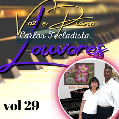 Louvores Voz e Piano Vol 29's cover