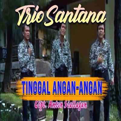 Tinggal Angan - Angan's cover