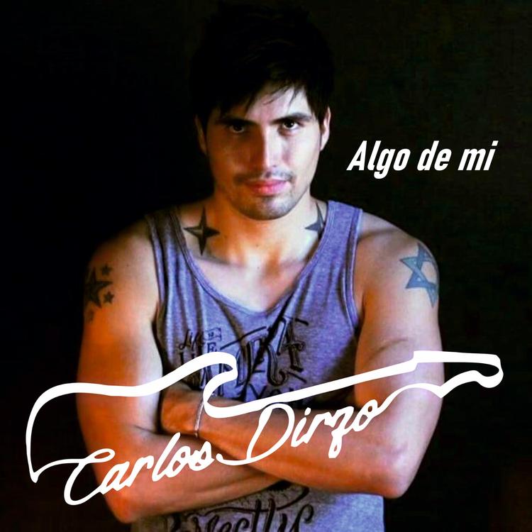 Carlos Dirzo's avatar image