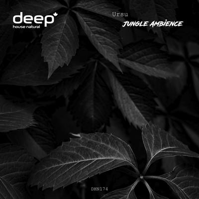 Jungle Ambience's cover