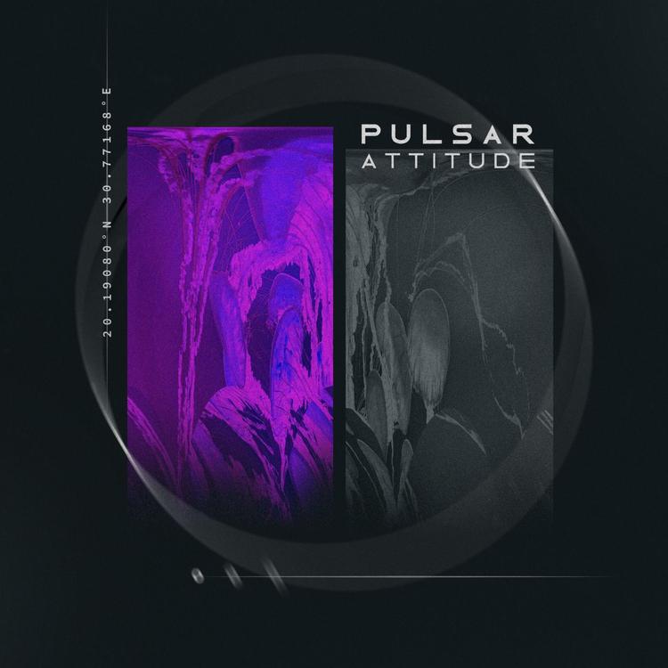 Pulsar's avatar image