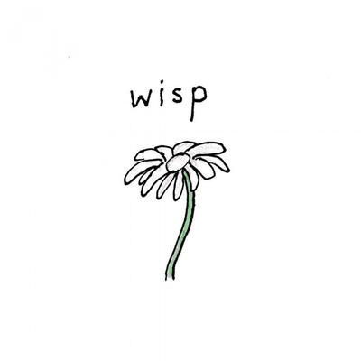 Wisp's cover