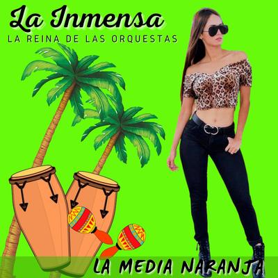 Inmenso Nro. 1: Golpe Con Golpe / Mentirosa / El Guayabo's cover
