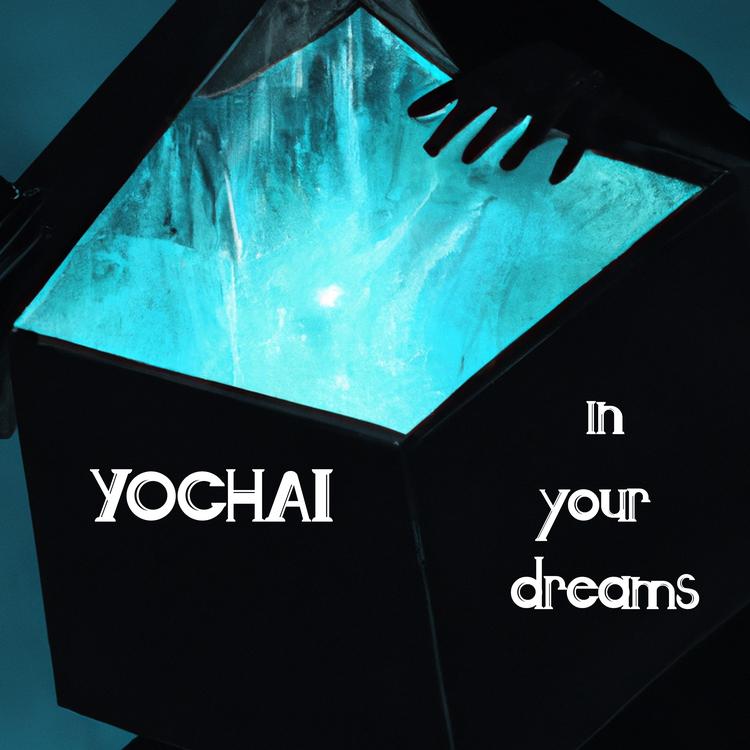 YOCHAI's avatar image