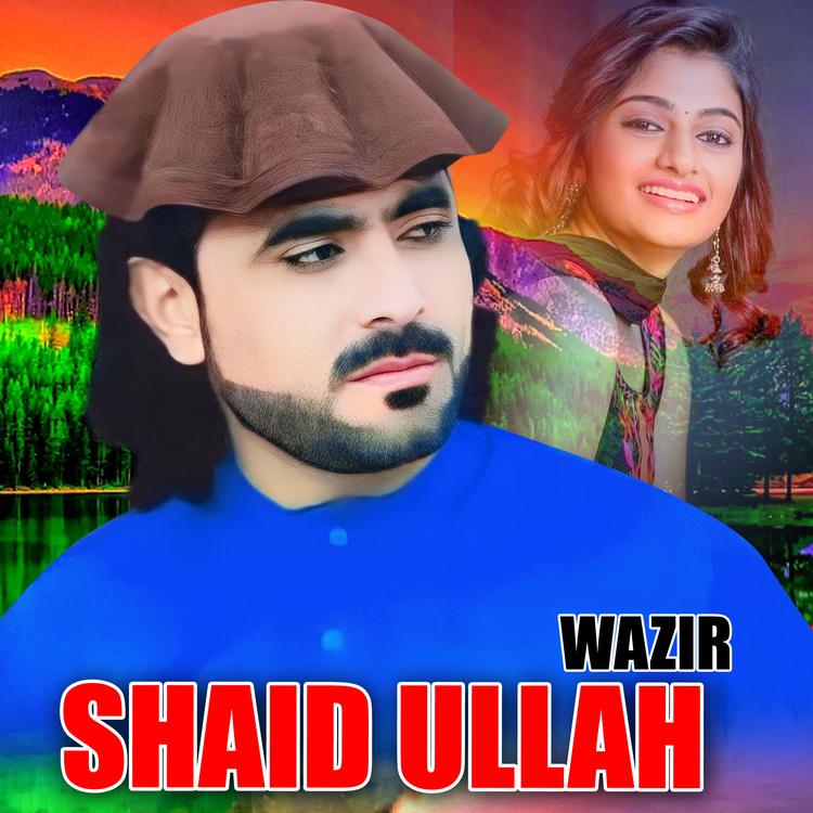 Shahidullah Wazir's avatar image