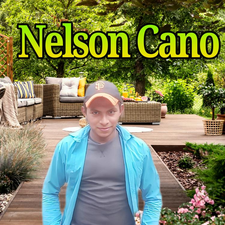 Nelson Cano's avatar image