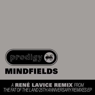 Mindfields (René LaVice Remix)'s cover