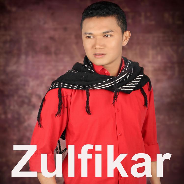 Zulfikar's avatar image