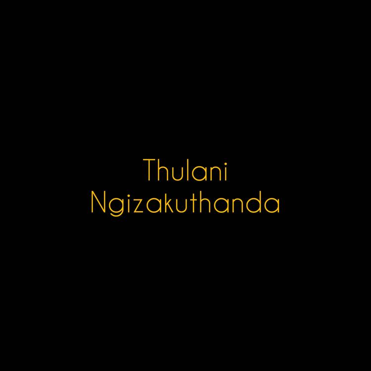 Thulani's avatar image