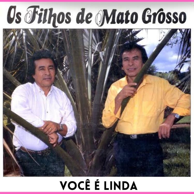Os Filhos De Mato Grosso's avatar image