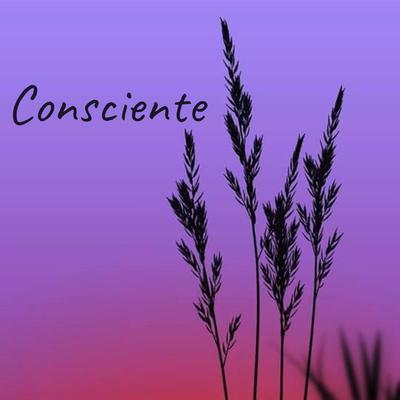 Consciente By Relajacion's cover