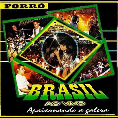 Fiquei Sozinho By Banda Forró Brasil's cover