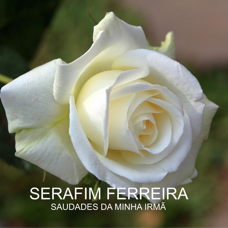 Serafim Ferreira's avatar image