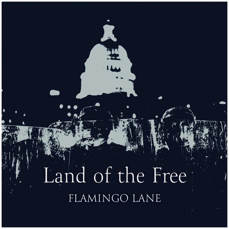 Flamingo Lane's avatar image
