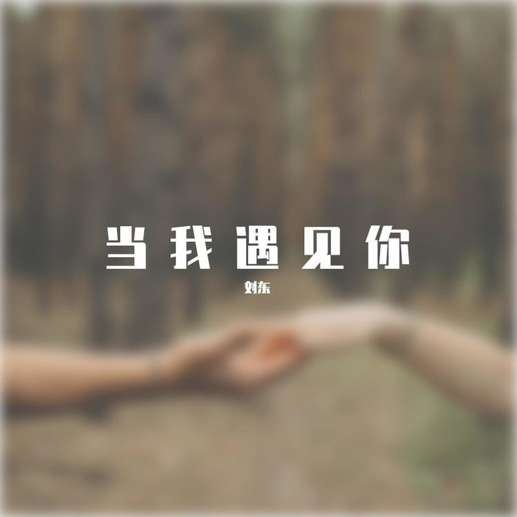 刘东's avatar image