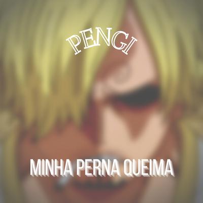 Minha Perna Queima's cover