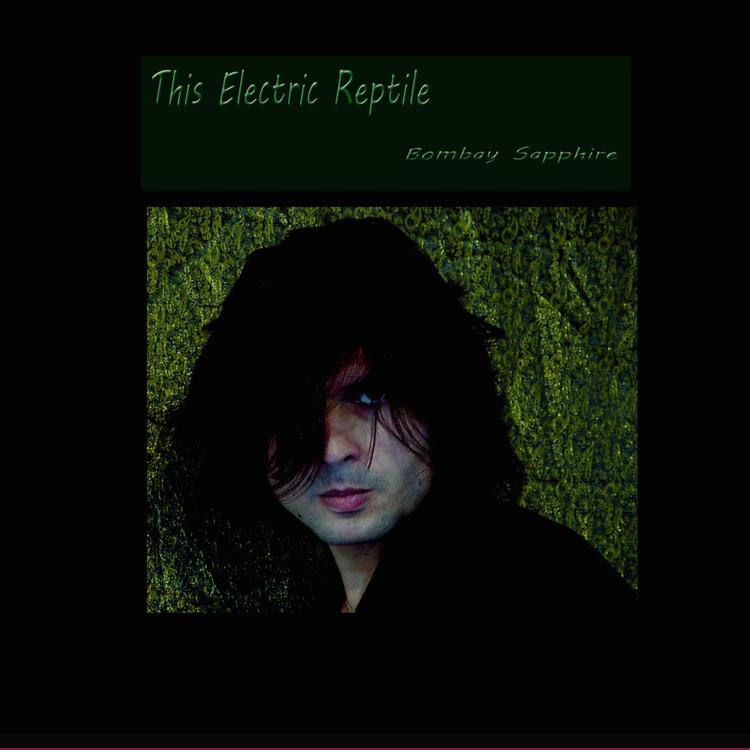 This Electric Reptile's avatar image