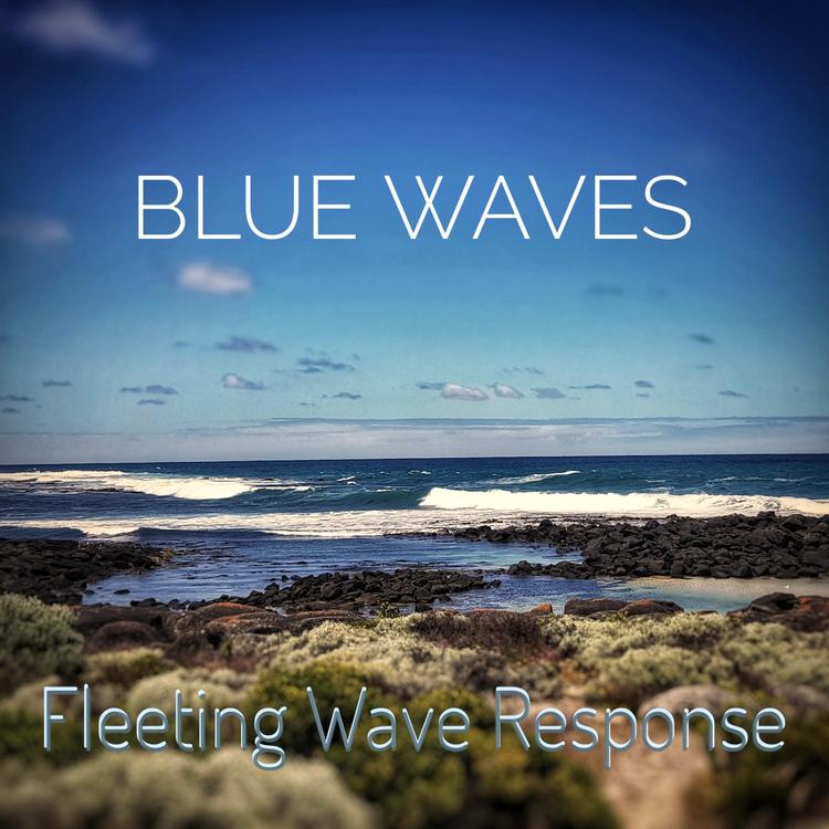 Fleeting Wave Response's avatar image