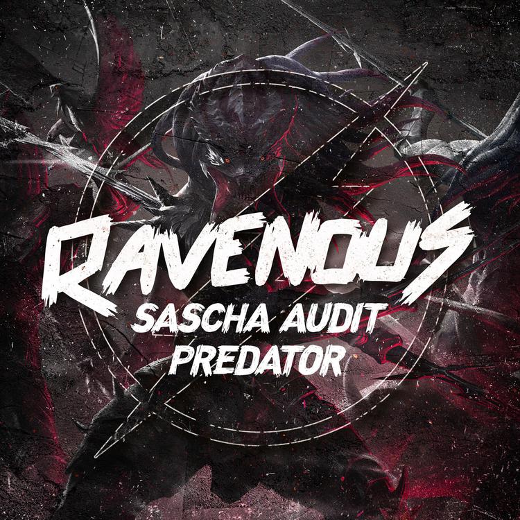 Sascha Audit's avatar image