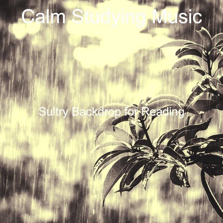 Calm Studying Music's avatar image