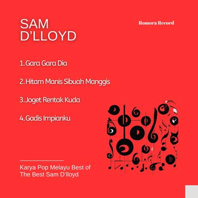 Sam D'loyd's cover
