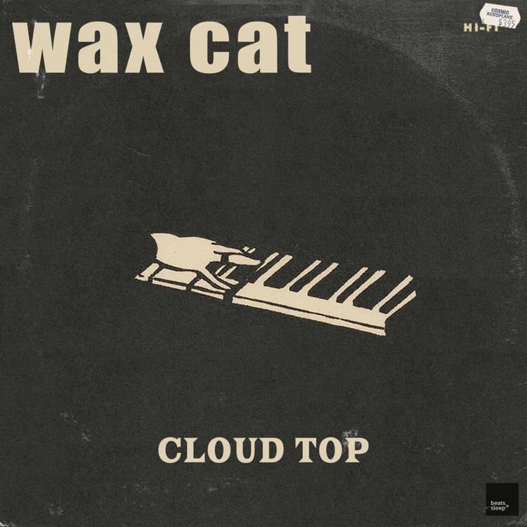 Wax Cat's avatar image