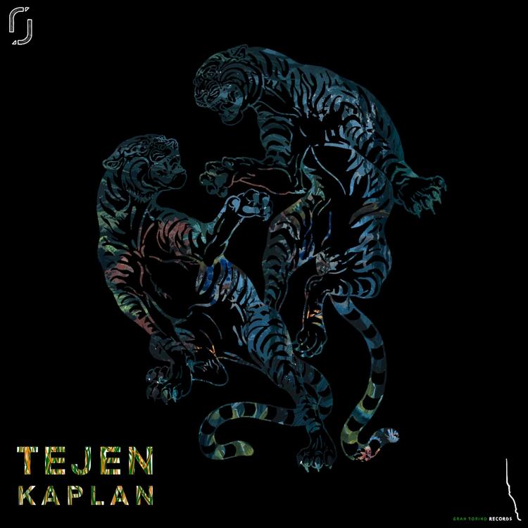 Tejen's avatar image