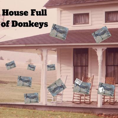 Donkey in Debt's cover