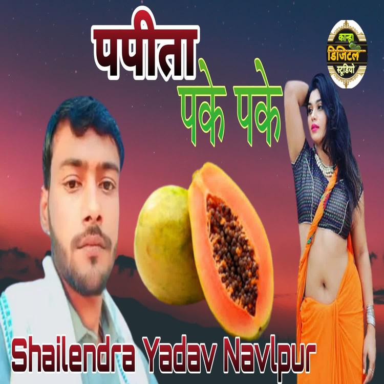 Shailendra Yadav Navlpur's avatar image