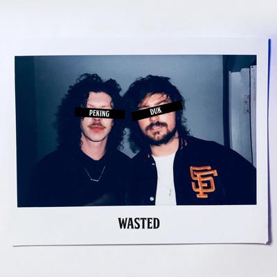 Wasted's cover