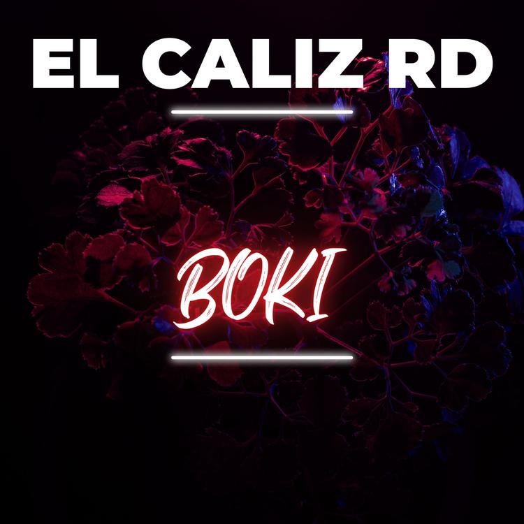 EL CALIZ RD's avatar image