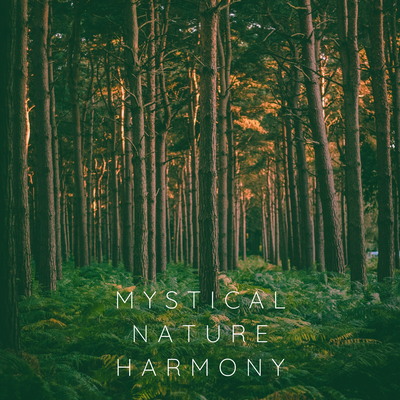 Mystical Nature Harmony's cover