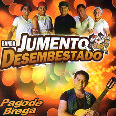 Menininha Meu Amor By Banda Jumento Desembestado's cover