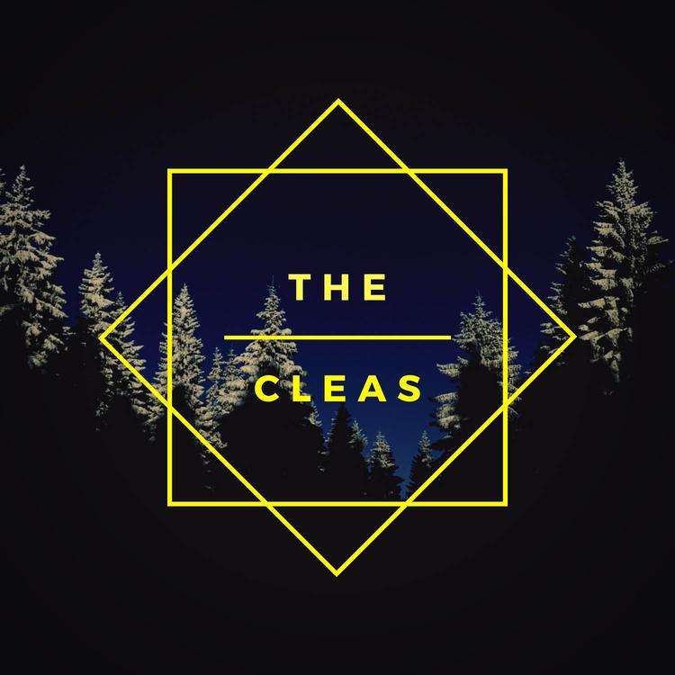 The Cleas's avatar image