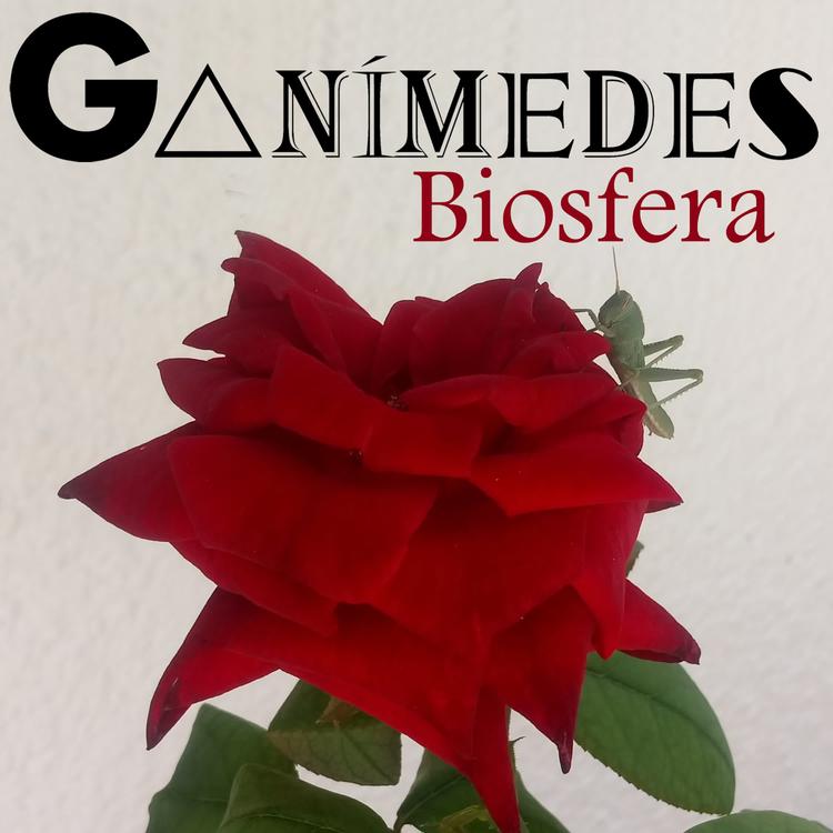 Ganímedes's avatar image