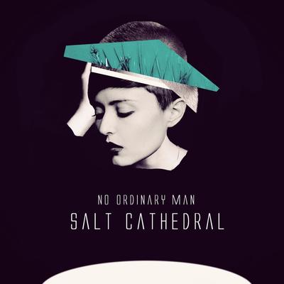 No Ordinary Man By Salt Cathedral's cover