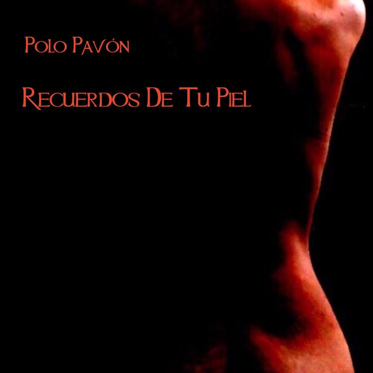 POLO PAVÓN's avatar image