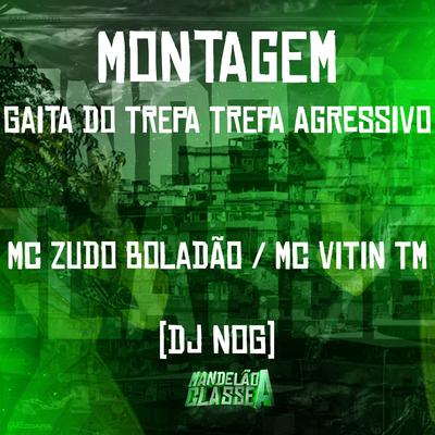 Montagem - Gaita do Trepa Trepa Agressivo's cover