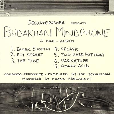 Budakhan Mindphone's cover
