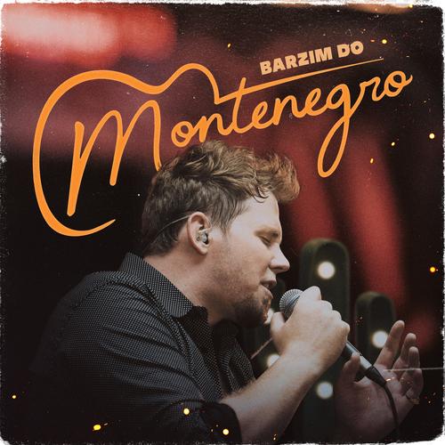 O Defensor (Ao Vivo)'s cover