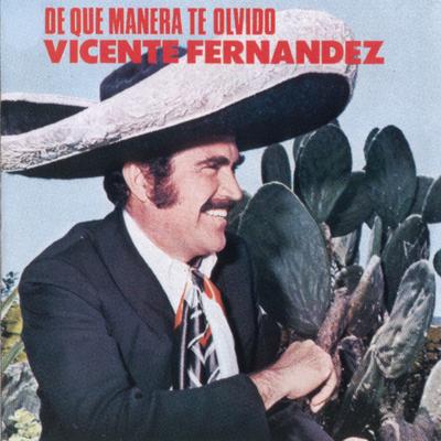 No Me Sé Rajar By Vicente Fernández's cover