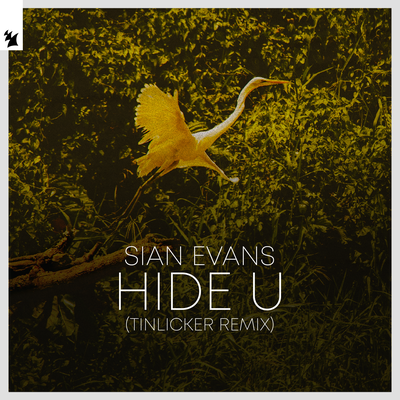 Hide U (Tinlicker Extended Remix) By Sian Evans's cover