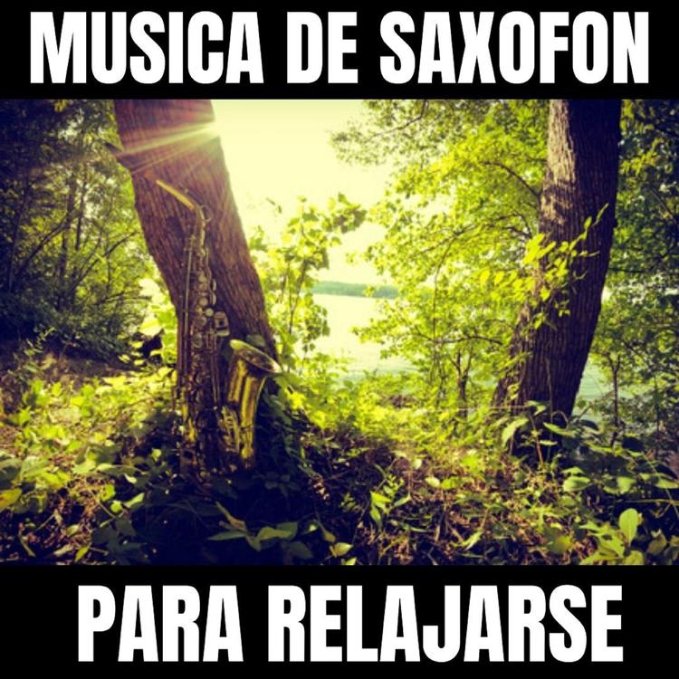 Musica De Saxofon Para Relajarse's avatar image