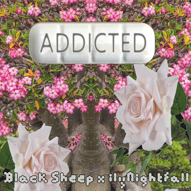 Black Sheep's avatar image